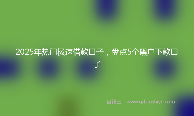 2025年热门极速借款口子，盘点5个黑户下款口子