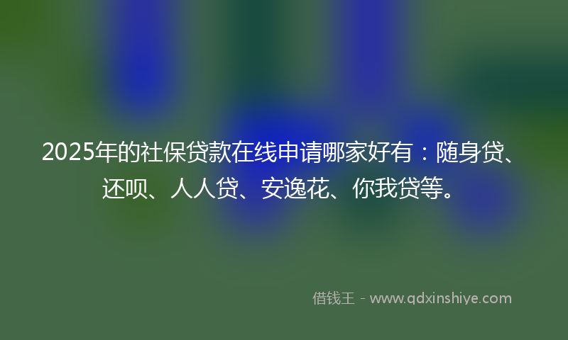 2025年的社保贷款在线申请哪家好有：随身贷、还呗、人人贷、安逸花、你我贷等。