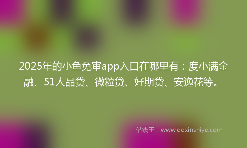 2025年的小鱼免审app入口在哪里有：度小满金融、51人品贷、微粒贷、好期贷、安逸花等。