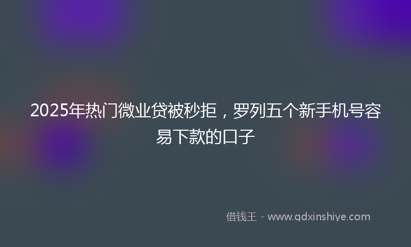 2025年热门微业贷被秒拒，罗列五个新手机号容易下款的口子