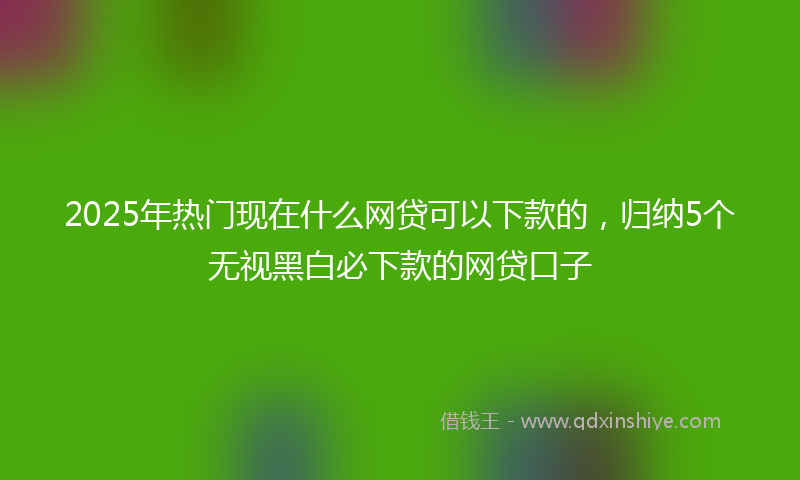 2025年热门现在什么网贷可以下款的，归纳5个无视黑白必下款的网贷口子