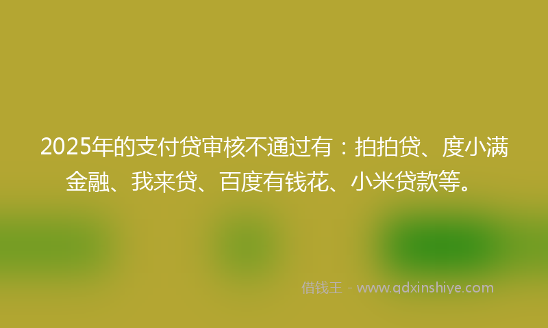 2025年的支付贷审核不通过有：拍拍贷、度小满金融、我来贷、百度有钱花、小米贷款等。