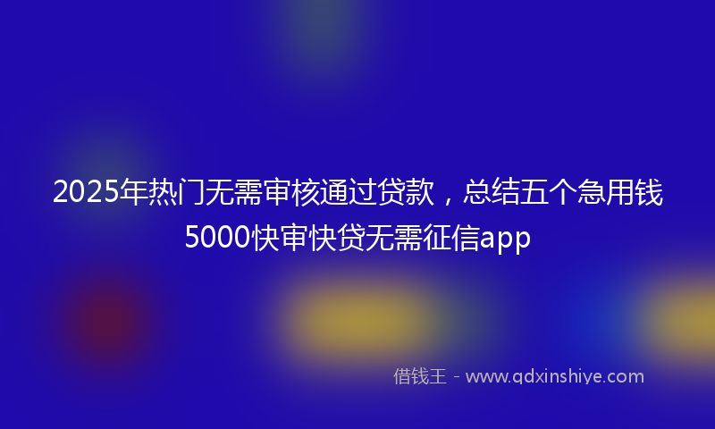 2025年热门无需审核通过贷款，总结五个急用钱5000快审快贷无需征信app