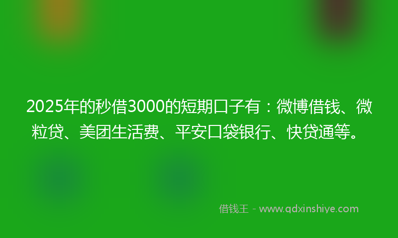 2025年的秒借3000的短期口子有：微博借钱、微粒贷、美团生活费、平安口袋银行、快贷通等。