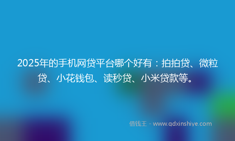 2025年的手机网贷平台哪个好有：拍拍贷、微粒贷、小花钱包、读秒贷、小米贷款等。