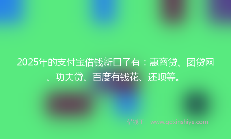 2025年的支付宝借钱新口子有：惠商贷、团贷网、功夫贷、百度有钱花、还呗等。