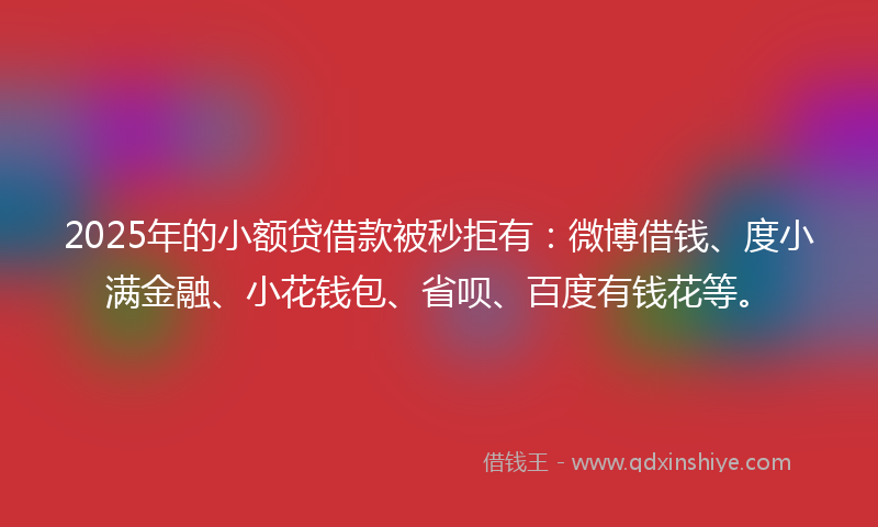 2025年的小额贷借款被秒拒有：微博借钱、度小满金融、小花钱包、省呗、百度有钱花等。
