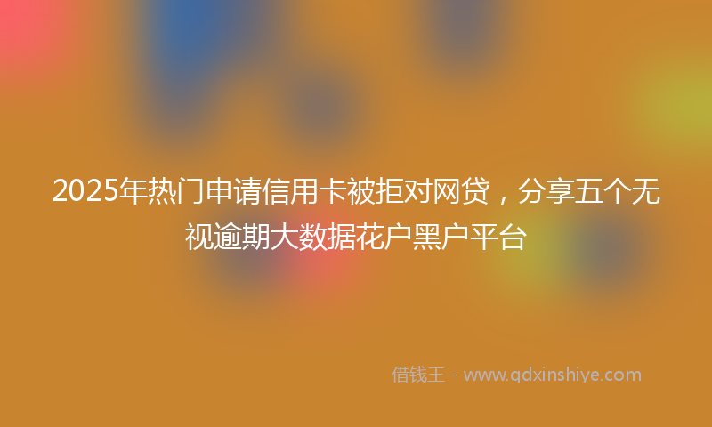 2025年热门申请信用卡被拒对网贷，分享五个无视逾期大数据花户黑户平台
