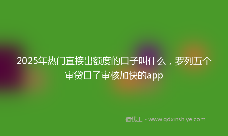 2025年热门直接出额度的口子叫什么，罗列五个审贷口子审核加快的app