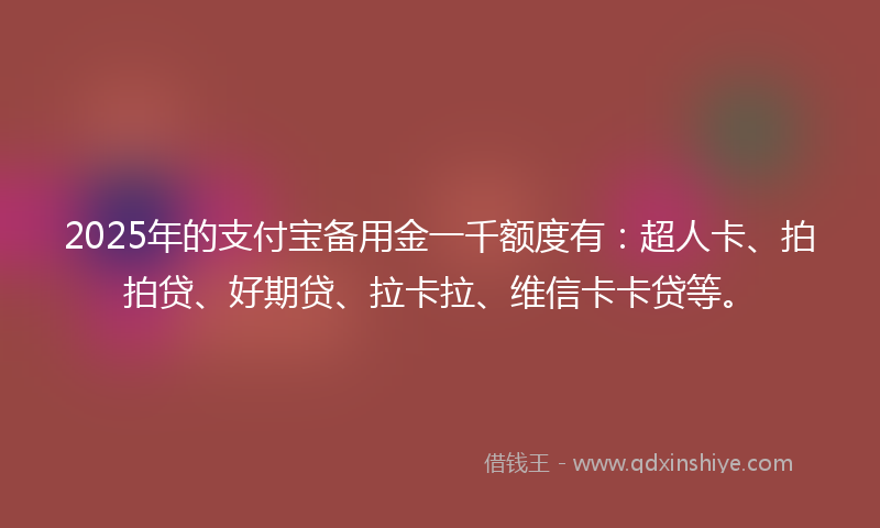 2025年的支付宝备用金一千额度有：超人卡、拍拍贷、好期贷、拉卡拉、维信卡卡贷等。