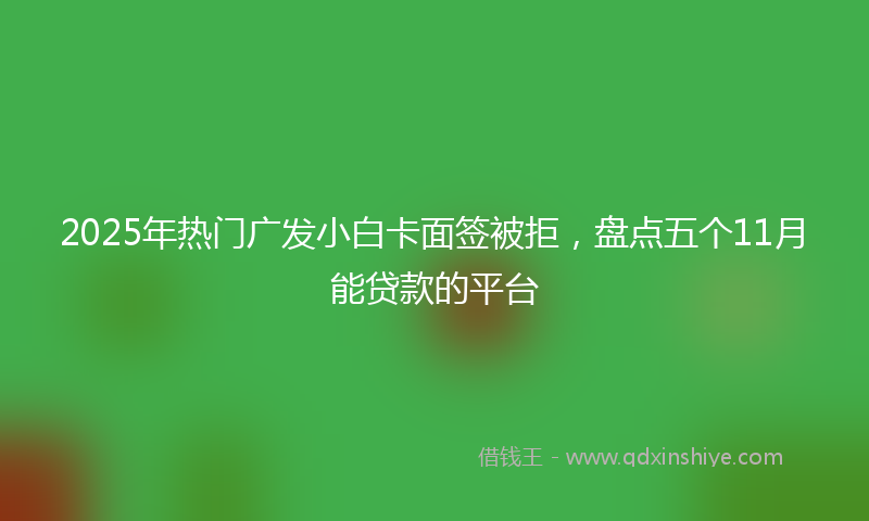2025年热门广发小白卡面签被拒，盘点五个11月能贷款的平台