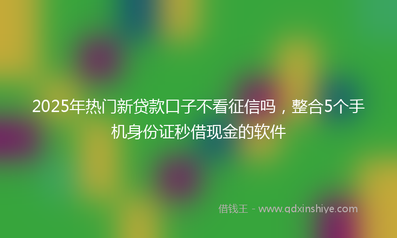 2025年热门新贷款口子不看征信吗，整合5个手机身份证秒借现金的软件