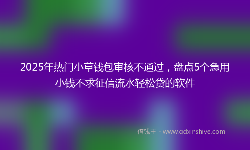 2025年热门小草钱包审核不通过，盘点5个急用小钱不求征信流水轻松贷的软件
