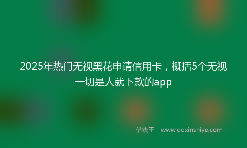 2025年热门无视黑花申请信用卡，概括5个无视一切是人就下款的app