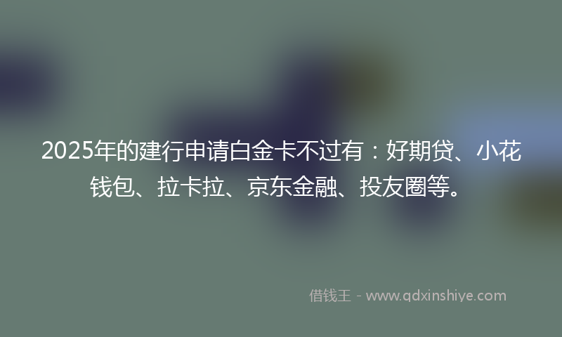 2025年的建行申请白金卡不过有：好期贷、小花钱包、拉卡拉、京东金融、投友圈等。