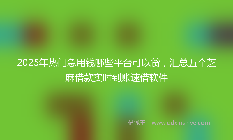 2025年热门急用钱哪些平台可以贷，汇总五个芝麻借款实时到账速借软件