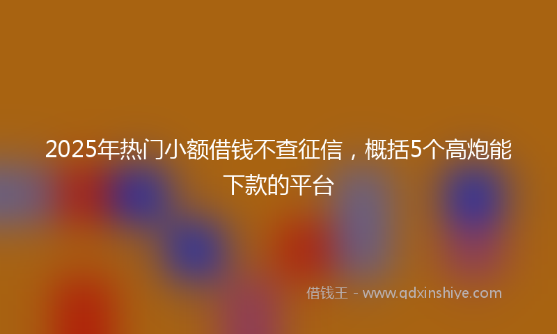 2025年热门小额借钱不查征信，概括5个高炮能下款的平台