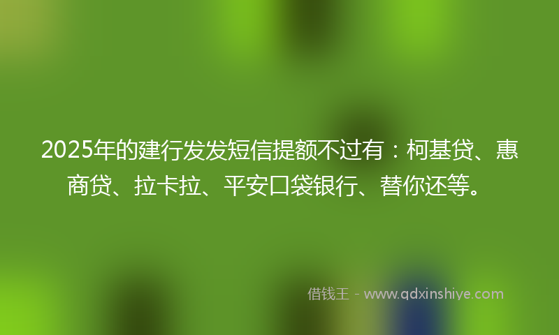 2025年的建行发发短信提额不过有：柯基贷、惠商贷、拉卡拉、平安口袋银行、替你还等。