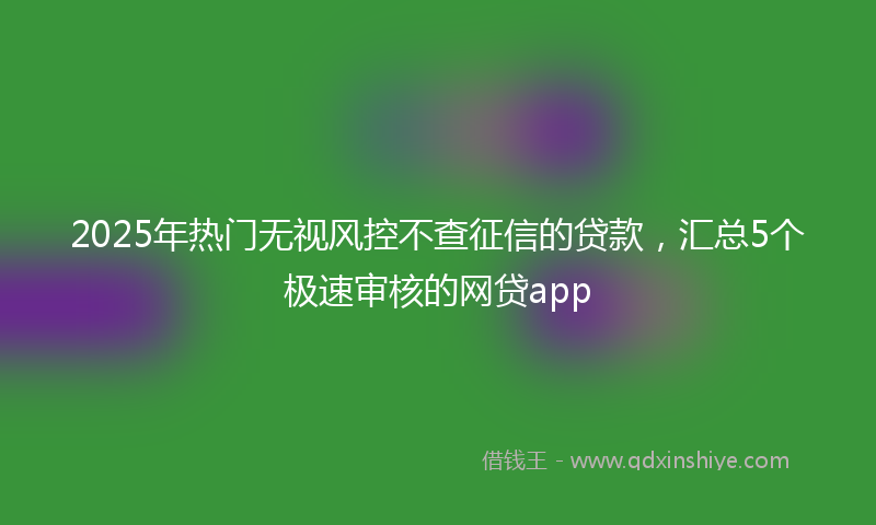 2025年热门无视风控不查征信的贷款，汇总5个极速审核的网贷app