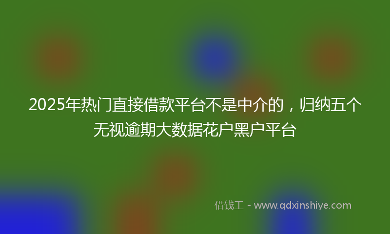 2025年热门直接借款平台不是中介的，归纳五个无视逾期大数据花户黑户平台