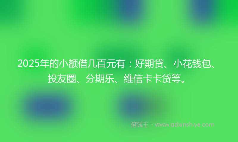 2025年的小额借几百元有：好期贷、小花钱包、投友圈、分期乐、维信卡卡贷等。