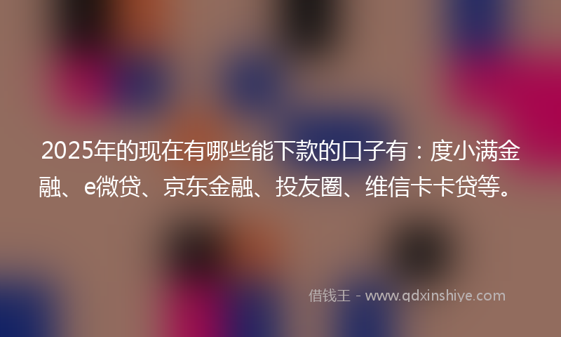 2025年的现在有哪些能下款的口子有：度小满金融、e微贷、京东金融、投友圈、维信卡卡贷等。