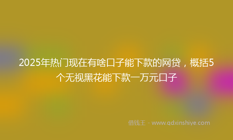 2025年热门现在有啥口子能下款的网贷，概括5个无视黑花能下款一万元口子