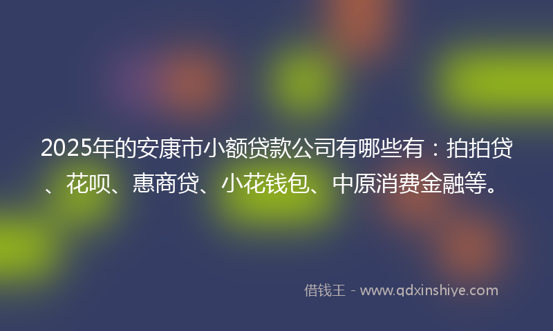 2025年的安康市小额贷款公司有哪些有：拍拍贷、花呗、惠商贷、小花钱包、中原消费金融等。