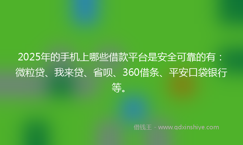 2025年的手机上哪些借款平台是安全可靠的有：微粒贷、我来贷、省呗、360借条、平安口袋银行等。