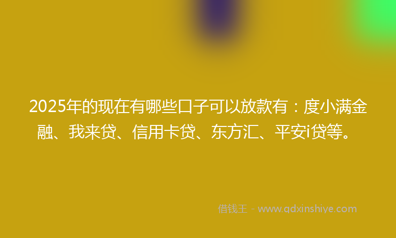 2025年的现在有哪些口子可以放款有：度小满金融、我来贷、信用卡贷、东方汇、平安i贷等。