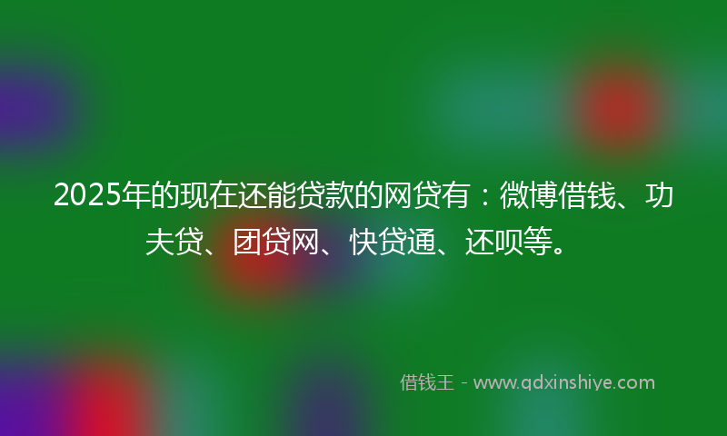 2025年的现在还能贷款的网贷有：微博借钱、功夫贷、团贷网、快贷通、还呗等。