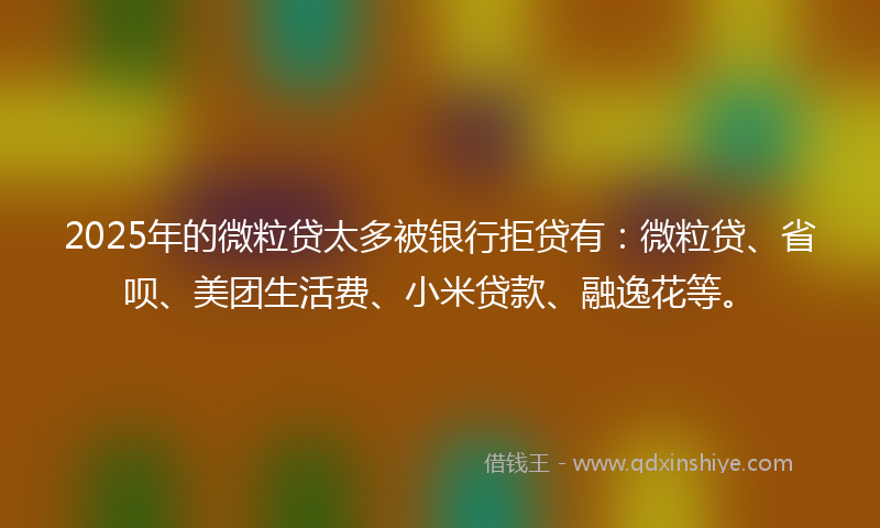 2025年的微粒贷太多被银行拒贷有：微粒贷、省呗、美团生活费、小米贷款、融逸花等。
