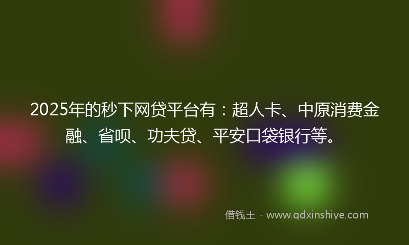 2025年的秒下网贷平台有：超人卡、中原消费金融、省呗、功夫贷、平安口袋银行等。