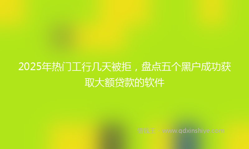 2025年热门工行几天被拒，盘点五个黑户成功获取大额贷款的软件