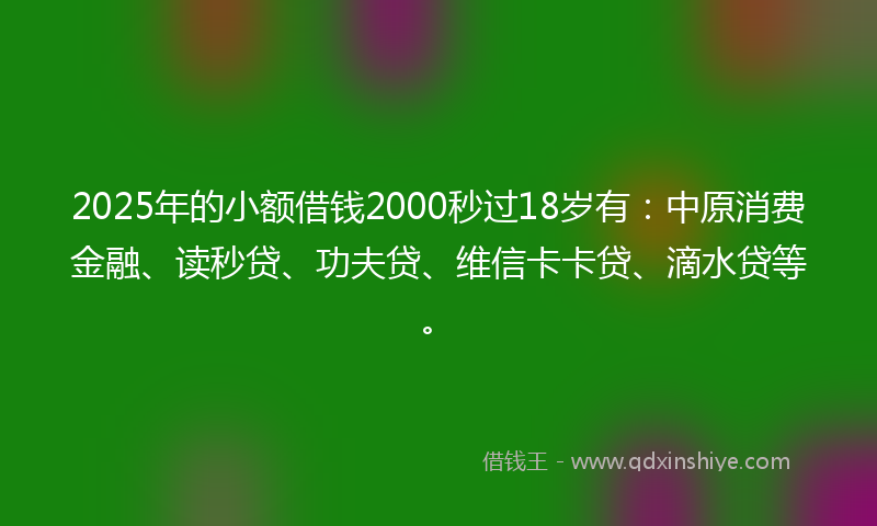 2025年的小额借钱2000秒过18岁有：中原消费金融、读秒贷、功夫贷、维信卡卡贷、滴水贷等。