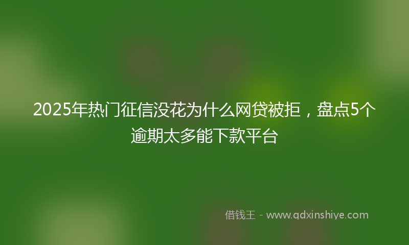 2025年热门征信没花为什么网贷被拒，盘点5个逾期太多能下款平台