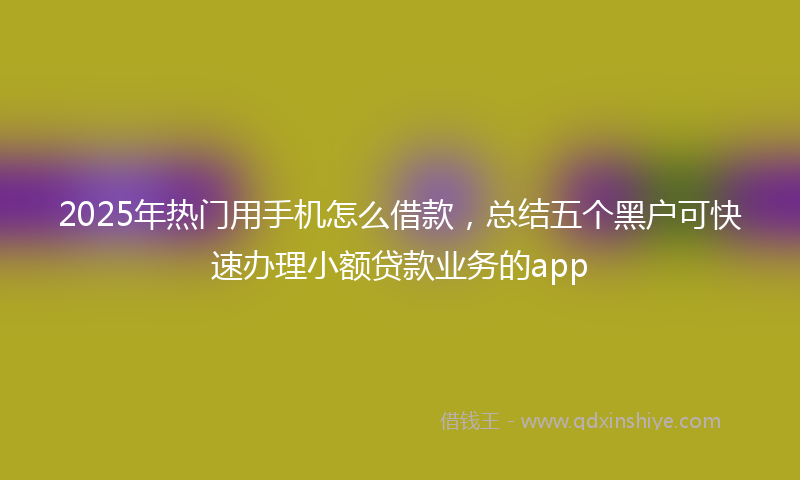 2025年热门用手机怎么借款，总结五个黑户可快速办理小额贷款业务的app