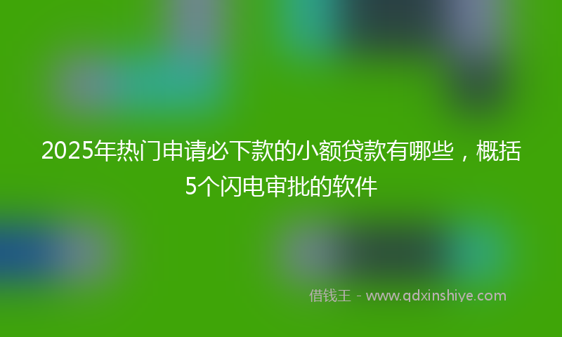 2025年热门申请必下款的小额贷款有哪些,概括5个闪电审批的软件