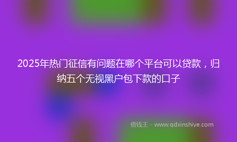 2025年热门征信有问题在哪个平台可以贷款，归纳五个无视黑户包下款的口子