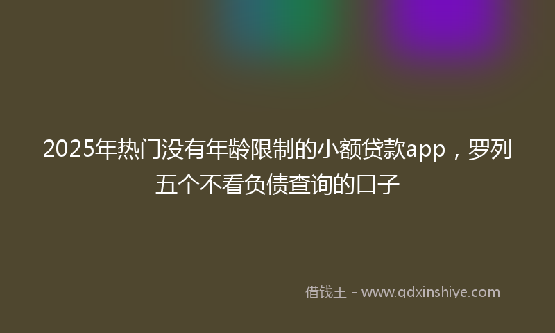 2025年热门没有年龄限制的小额贷款app，罗列五个不看负债查询的口子