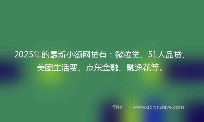 2025年的最新小额网贷有：微粒贷、51人品贷、美团生活费、京东金融、融逸花等。