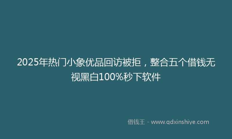 2025年热门小象优品回访被拒，整合五个借钱无视黑白100%秒下软件