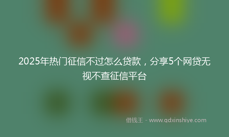2025年热门征信不过怎么贷款，分享5个网贷无视不查征信平台