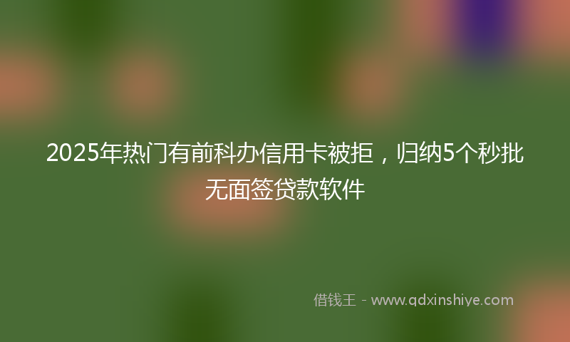 2025年热门有前科办信用卡被拒，归纳5个秒批无面签贷款软件