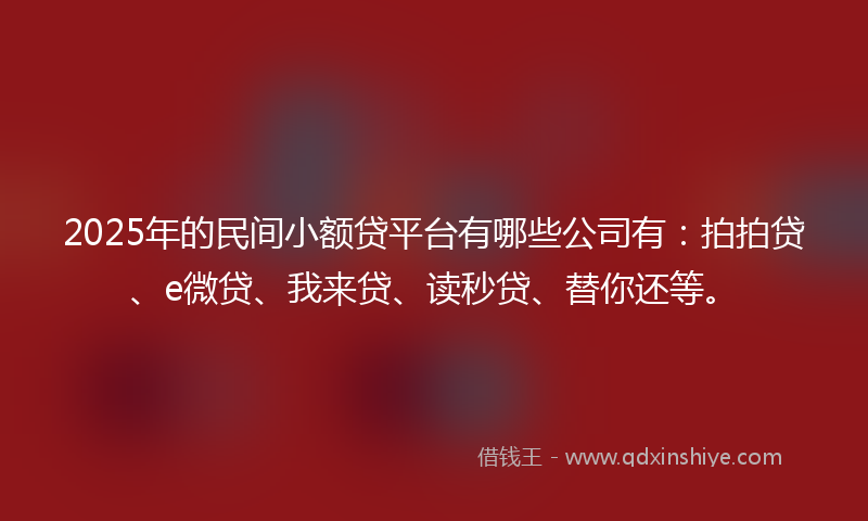 2025年的民间小额贷平台有哪些公司有：拍拍贷、e微贷、我来贷、读秒贷、替你还等。