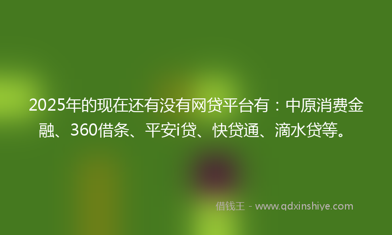 2025年的现在还有没有网贷平台有：中原消费金融、360借条、平安i贷、快贷通、滴水贷等。