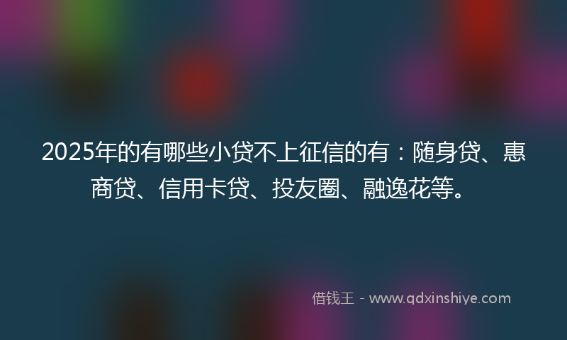 2025年的有哪些小贷不上征信的有：随身贷、惠商贷、信用卡贷、投友圈、融逸花等。