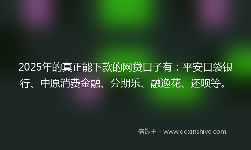 2025年的真正能下款的网贷口子有：平安口袋银行、中原消费金融、分期乐、融逸花、还呗等。