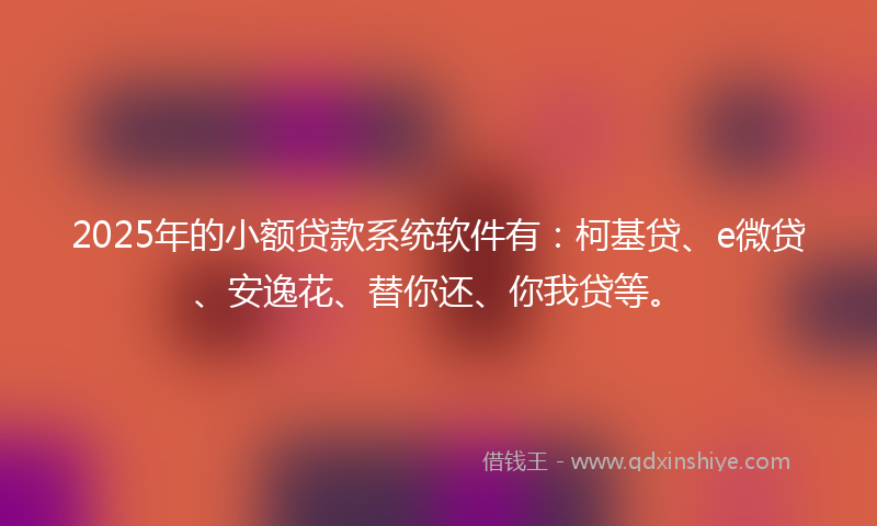 2025年的小额贷款系统软件有：柯基贷、e微贷、安逸花、替你还、你我贷等。