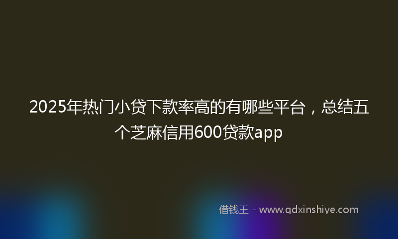 2025年热门小贷下款率高的有哪些平台，总结五个芝麻信用600贷款app